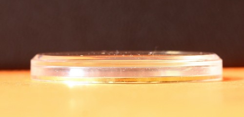 Verre plexi plat neuf montre - verre,