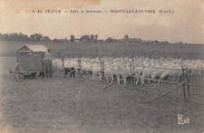Old postcard 28 EN BEAUCE / SHEEP PARK / BOISVILLE LA SAINT PERE