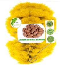 NOIX DE PETIT COLA FRAICHE