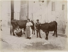 Photo Alinari Tirage Albuminé