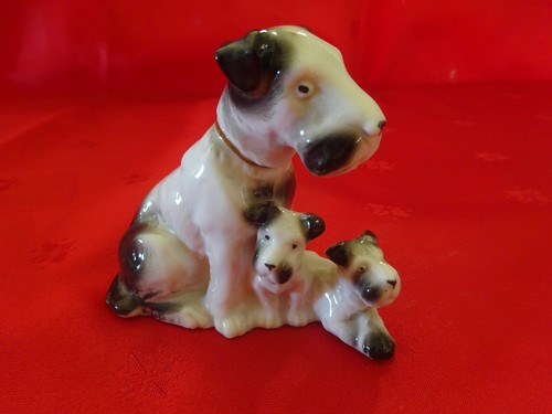 Fox terrier ses chiots - terrier,