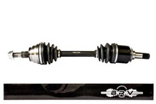 Arbre à Gauche Avant