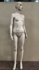 Poupée De Mannequin