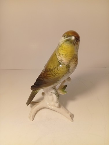 Karl ens volksdedt - ens., oiseau