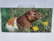 NESLE - MERVEILLES DU MONDE 