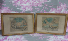 CURIOSA  JEAN BAPTISTE HUET