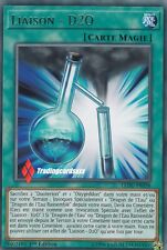 ♦Yu-Gi-Oh!♦ Liaison - D20