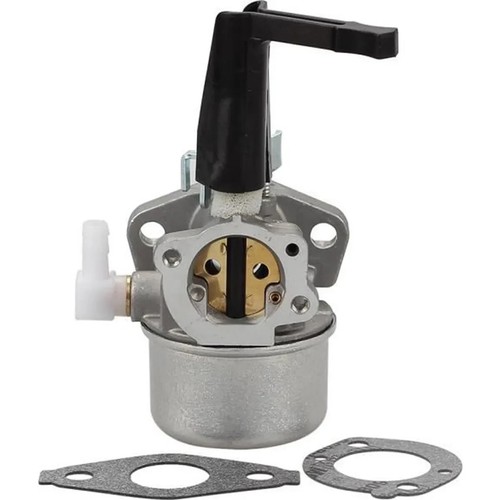 Carburateur pour moteur briggs - pour,