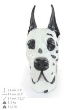 Dogue Allemand Peint, Grande