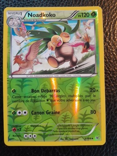 Noadkoko reverse xy6 ciel - noadkoko,