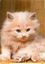 Carte Postale - Animaux -