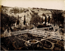 Palestine, Jardin de Gethsemané, Général Vue Vintage albumen print.  Tirage al
