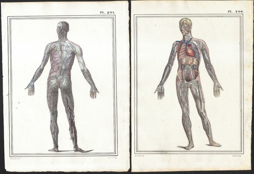1825 gravures originales - gravures,