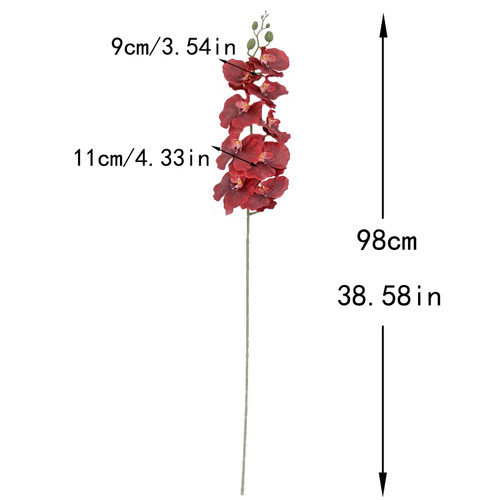 Branche orchidées papillon - orchidées,