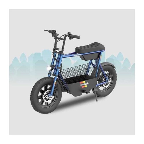Draisienne électrique - ,