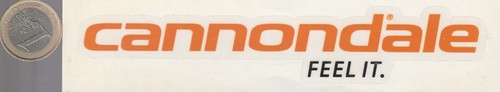 Sport cannondale feel it - cannondale,