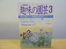 Hobby gardening Heisei 1/3 clivia