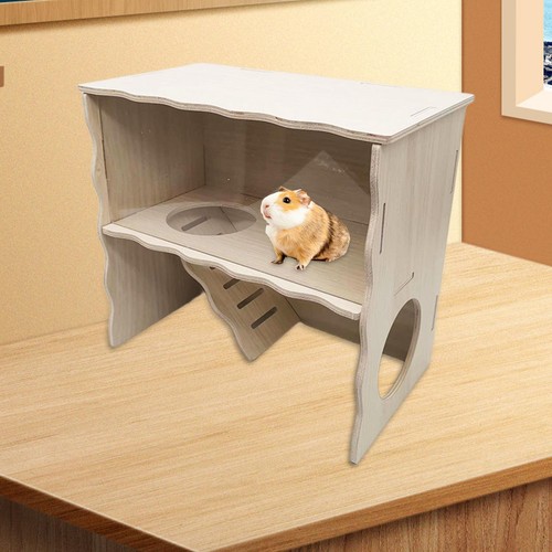 Cochon inde cottage - d'inde, hamster