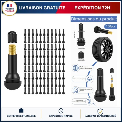 100 valves pneu - 100,