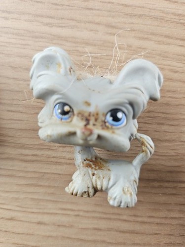 Littlest petshop ancien - littlest,