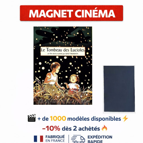 Magnet frigo tombeau - le, des