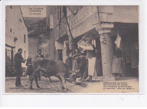 Saint chely apcher boeufs - saint-chely-d'apcher:,