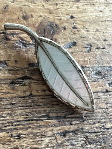 Broche émaillée argent - en,