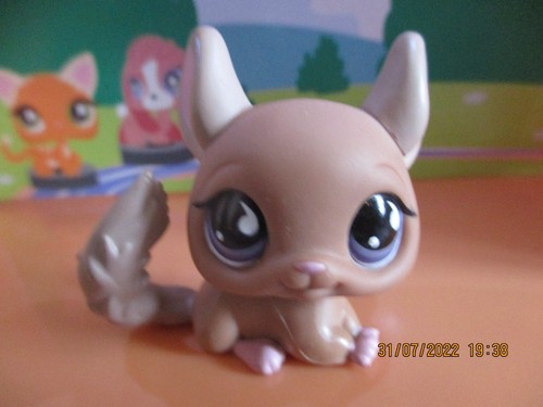 Petshop chinchilla 799 - petshop,