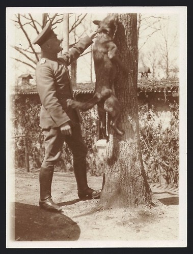 Photographie ww1 uffz - ww1,, uffz.