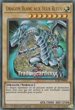 Yu-Gi-Oh! Dragon Blanc aux