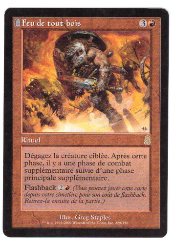 Feu tout bois extension - de,