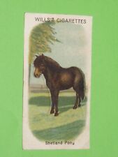 WILLS CIGARETTES CARD 1913 ANIMALS (CUT-OUTS / CUTS) #10 PONY SHETLAND