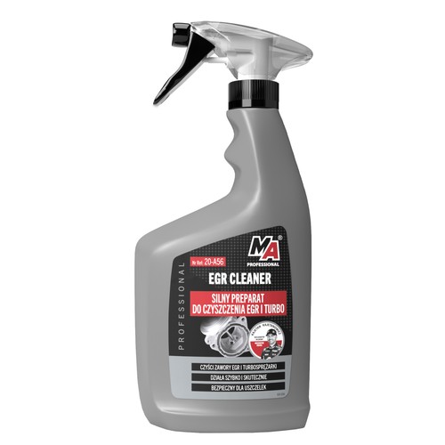 013181 professional - 013181, ma