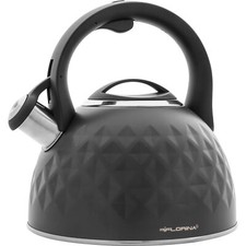 Bouilloire à Induction