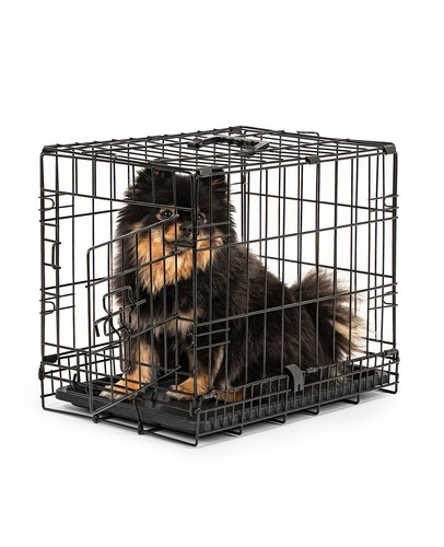 Lionto cage pour chats - lionto,