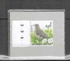 TIMBRE BELGIQUE -  Pipit