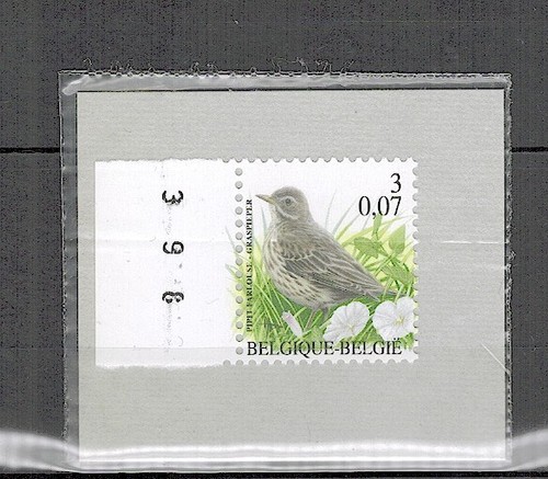 Timbre belgique pipit - timbre,