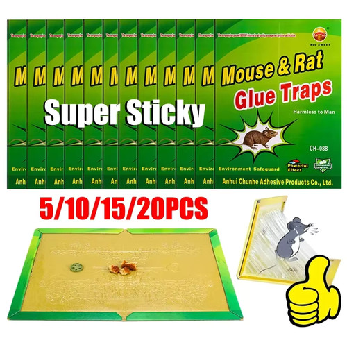 Planche colle souris - colle,
