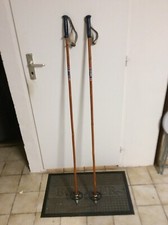 Batons de Ski de Fond en