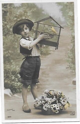 Belle cpa cartes - belle,
