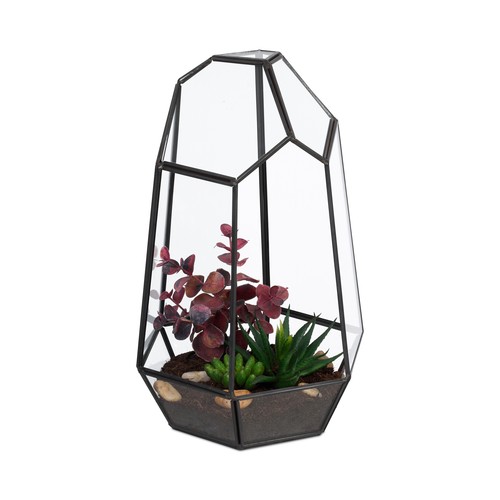 Terrarium plante - terrarium,