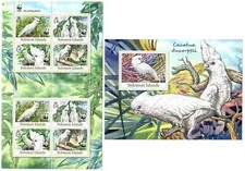 WWF / Birds - stamps / Timbres - Solomon Island - MNH** SN.