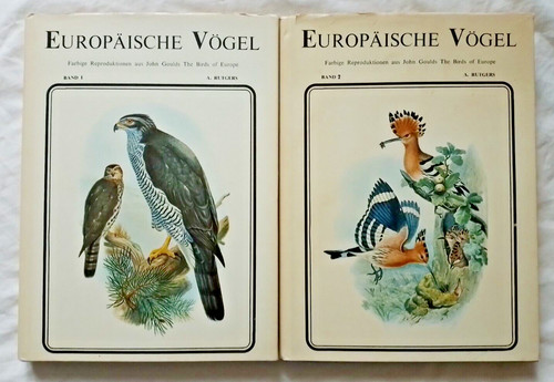 Europaische vogel par rutgers - europaische,