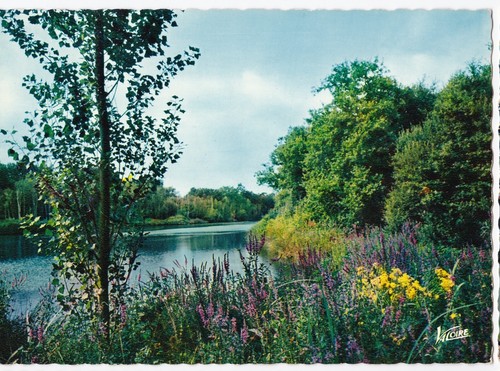 Sologne etang en été - en,
