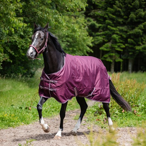 Couverture poney horse - de,