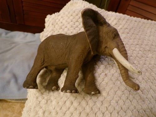 Eléphant afrique mâle - eléphant,
