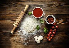 Épagneul Breton - Tête