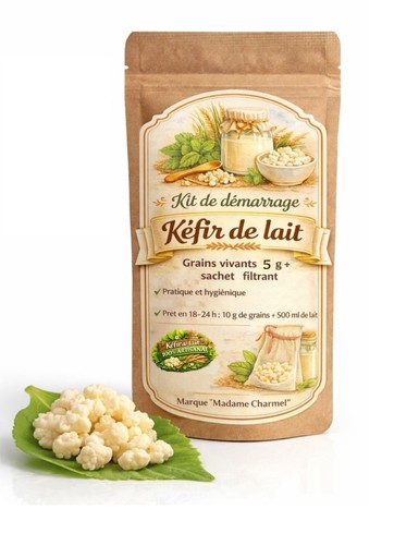 Kéfir lait kit de - de,