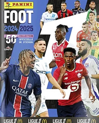 Panini foot france 2024 2025 - foot,