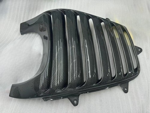 Carbon fiber rear armadilo - carbon,